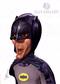 brucewayne mini.jpg